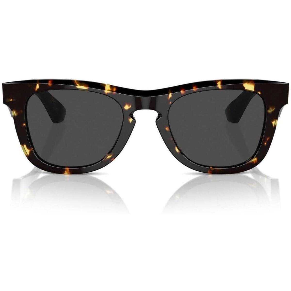 Men's Sunglasses Burberry Brown