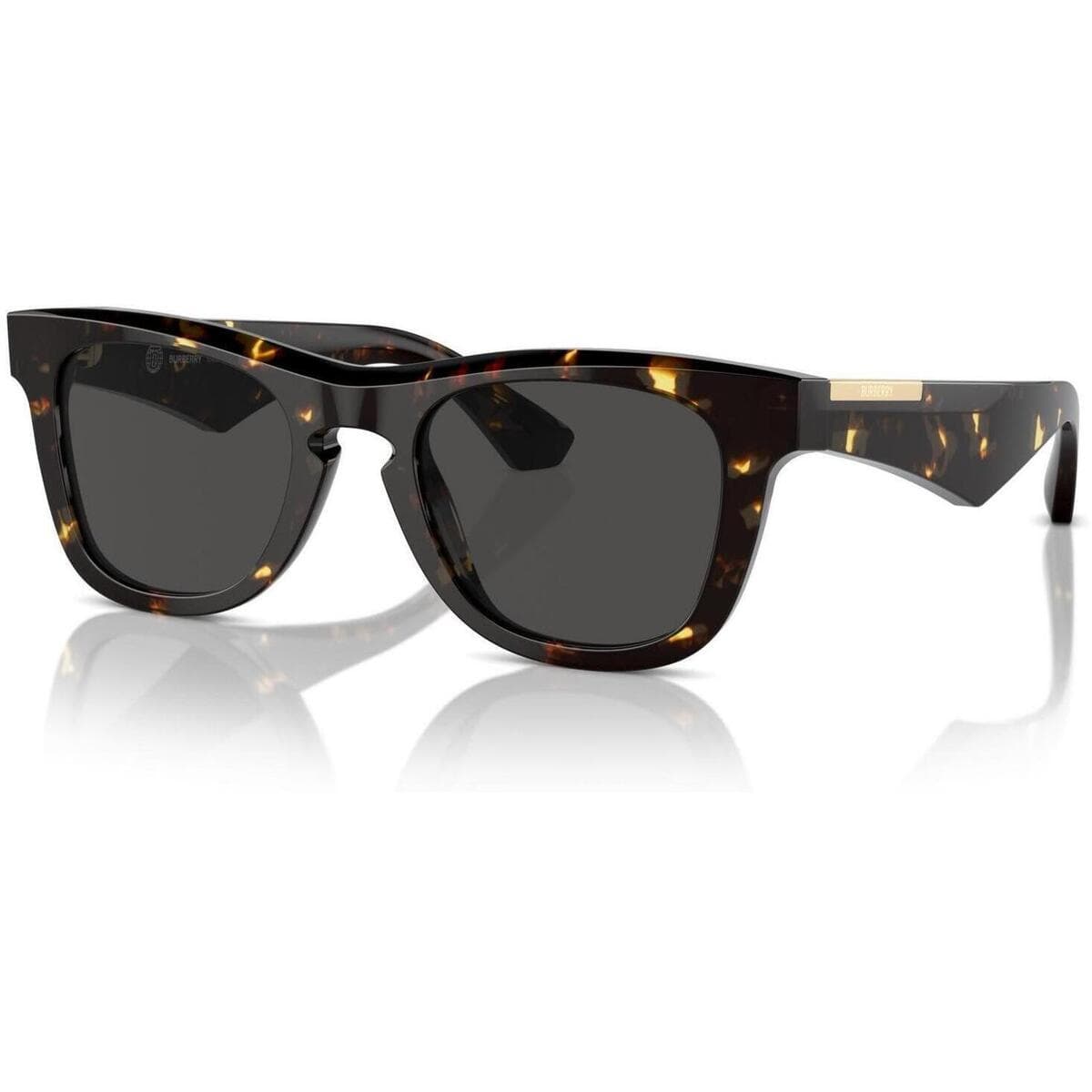 Men's Sunglasses Burberry Brown