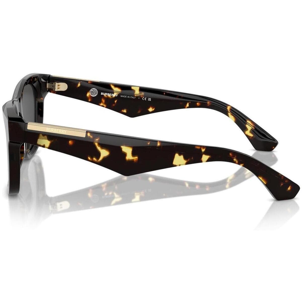 Men's Sunglasses Burberry Brown