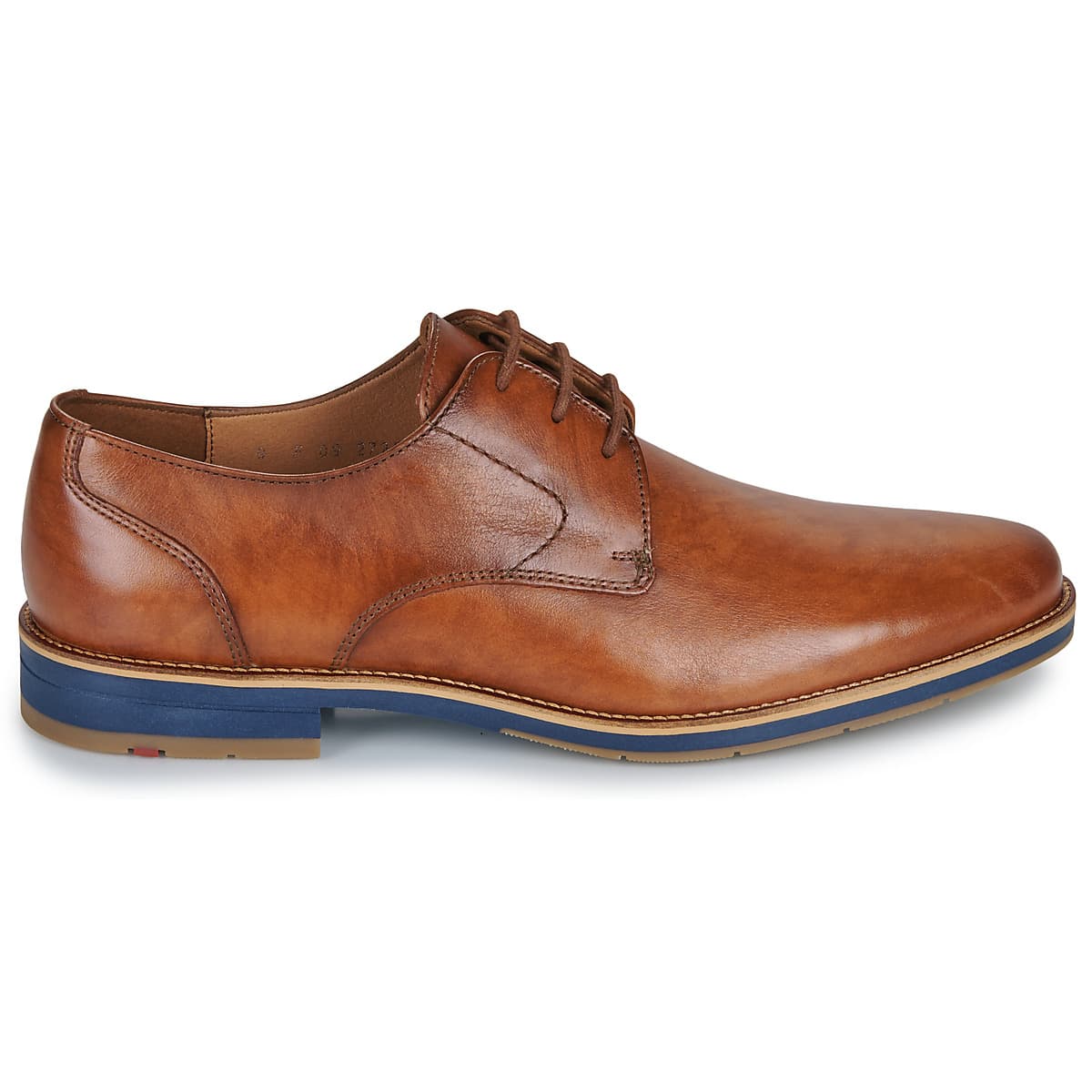 Men's Derby Shoes Lloyd Brown