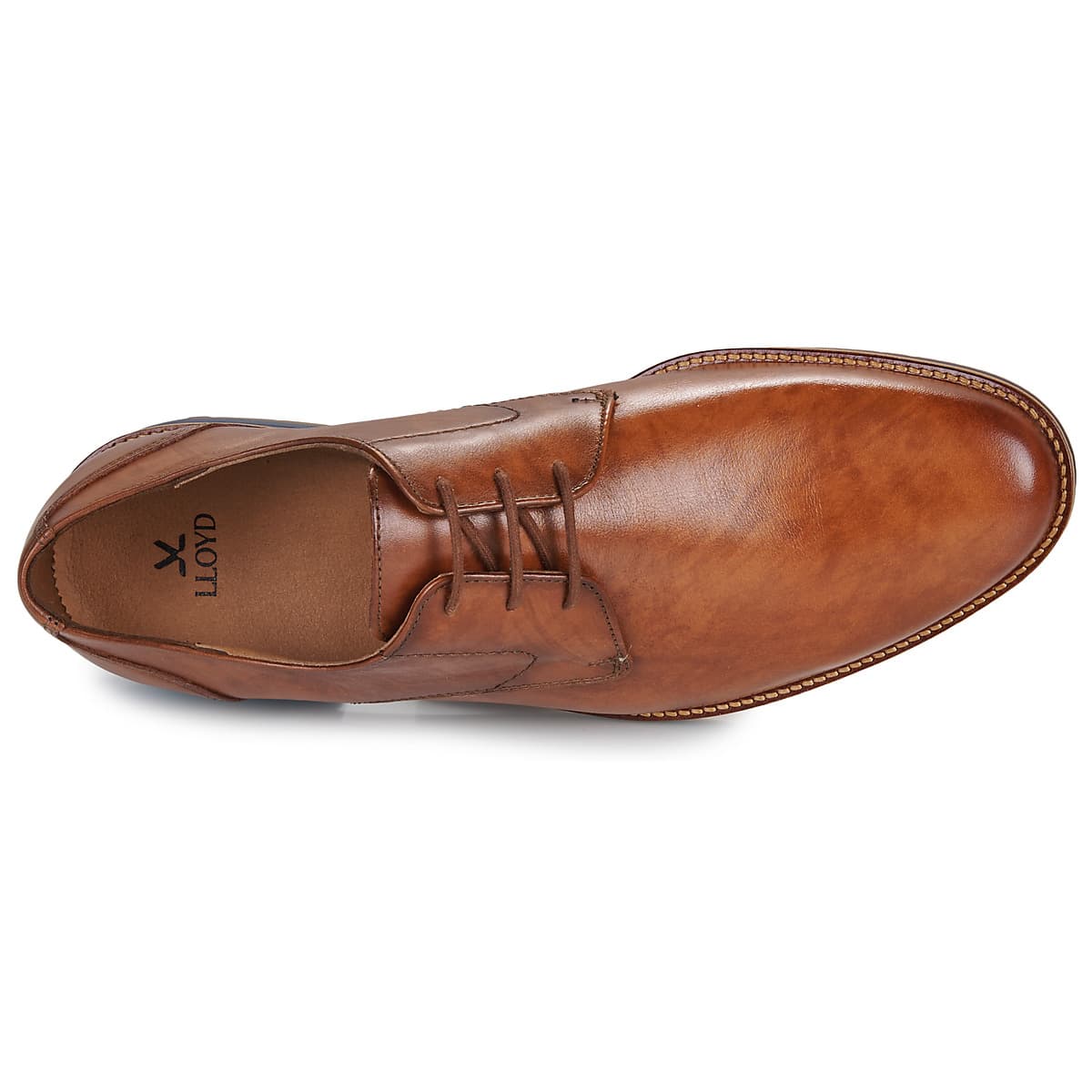 Men's Derby Shoes Lloyd Brown