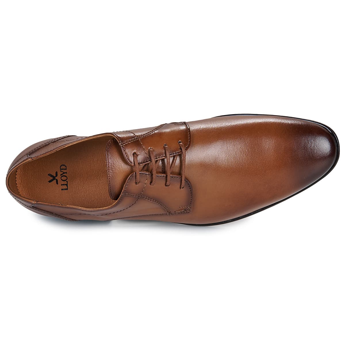 Men's Derby Shoes Lloyd Brown