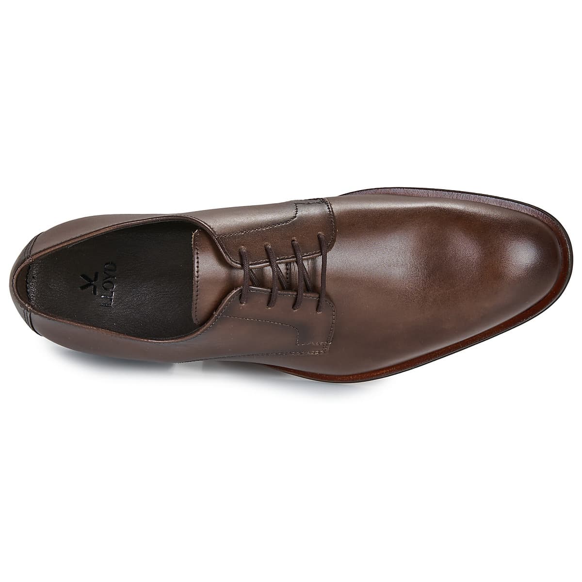 Men's Derby Shoes Lloyd Brown