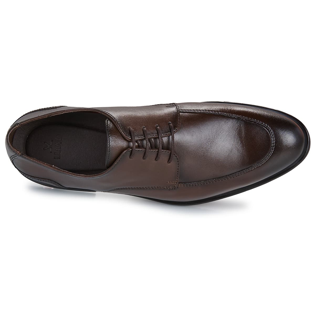 Men's Derby Shoes Lloyd Brown
