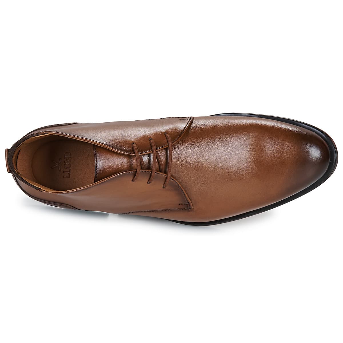 Men's Boots Lloyd Brown