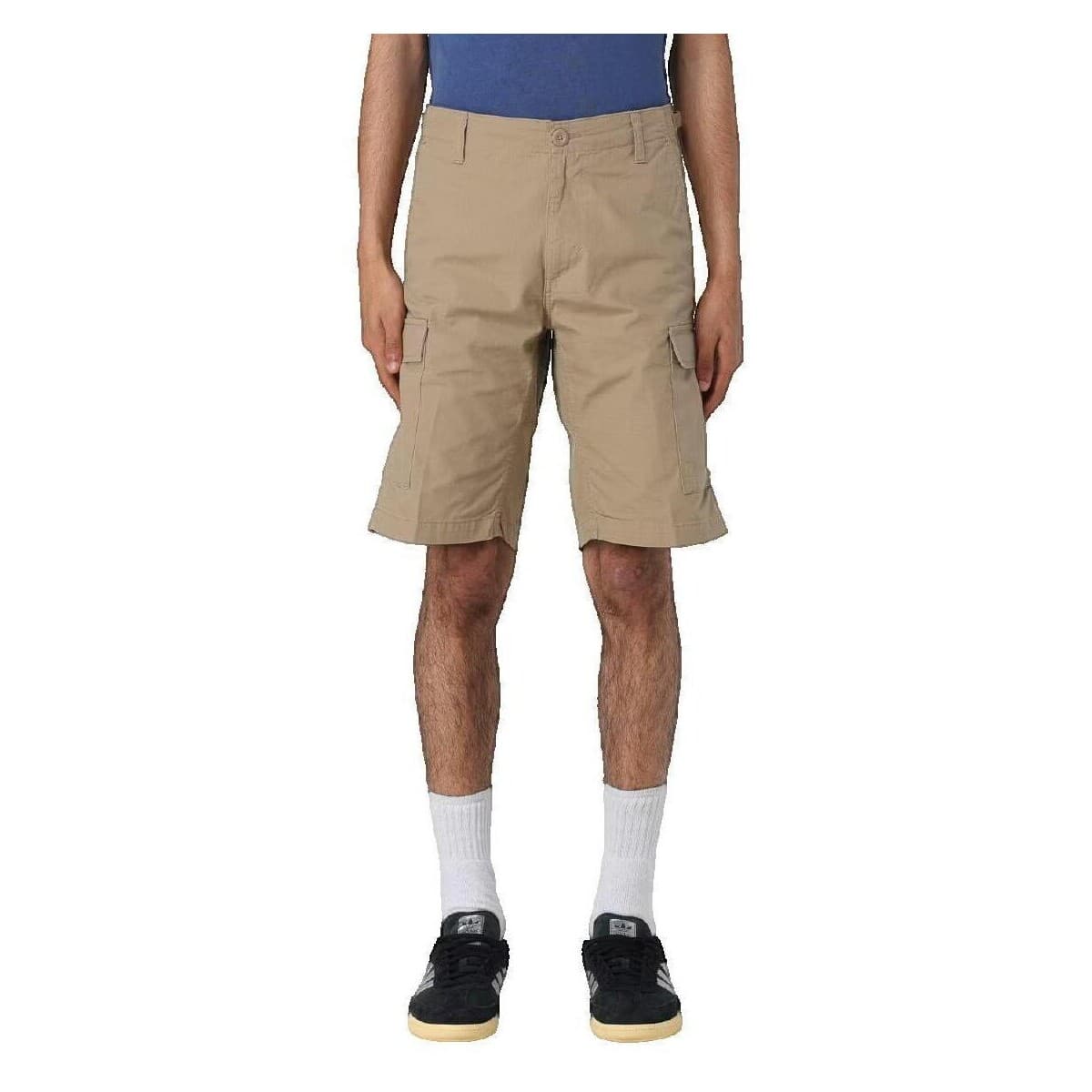 Men's Pants Carhartt Brown