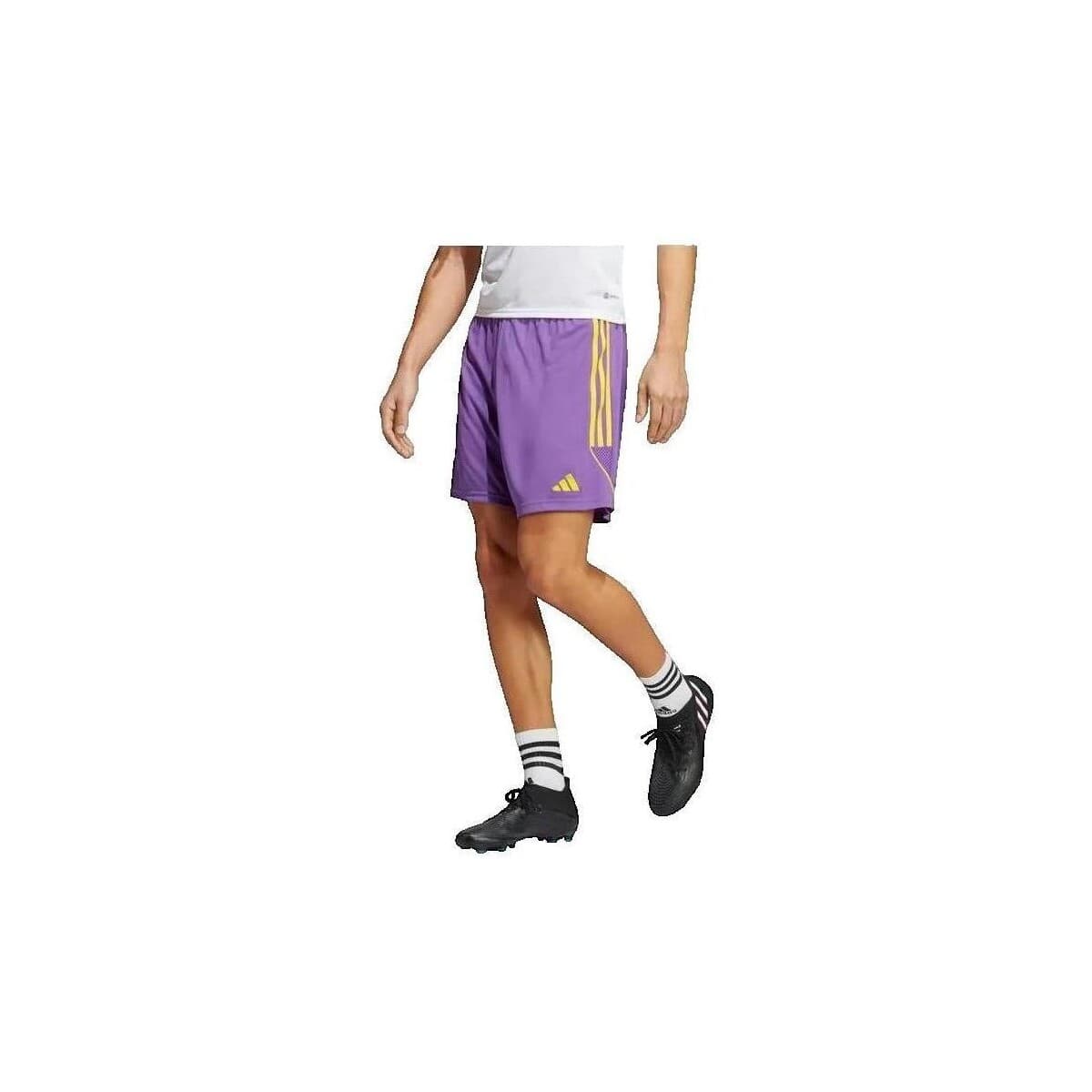 Men's Shorts adidas Purple
