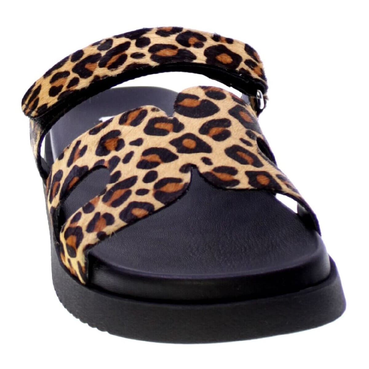 Women's Sandals Steve Madden Multicolor