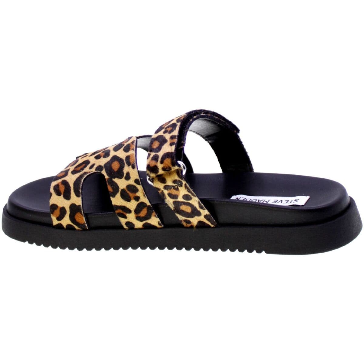 Women's Sandals Steve Madden Multicolor