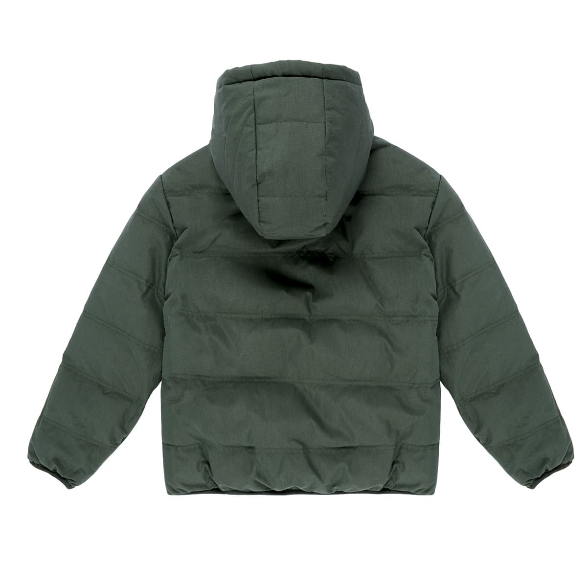 Boys' Jackets Ikks Green