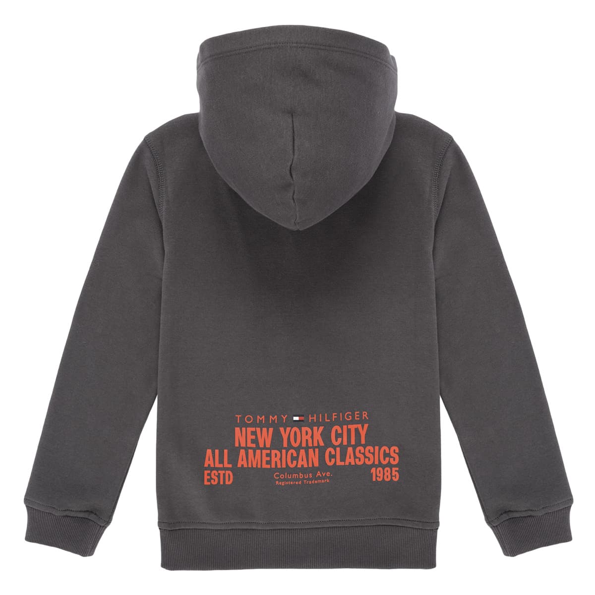 Boys' Hoodies & Sweatshirts Tommy Hilfiger Gray