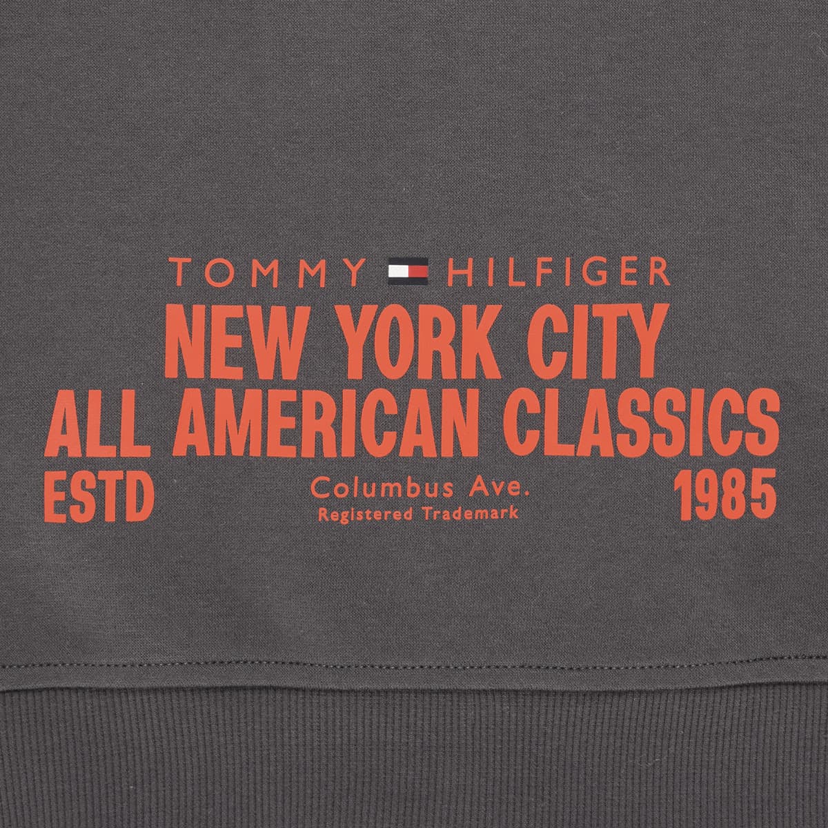 Boys' Hoodies & Sweatshirts Tommy Hilfiger Gray