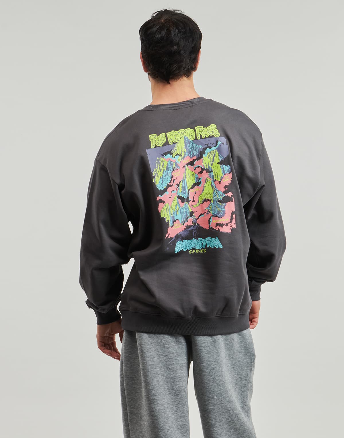 Men's Sports T-Shirts The North Face Gray