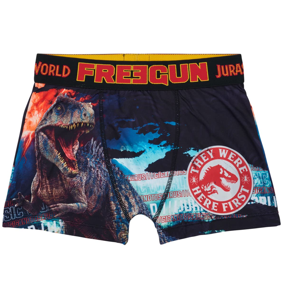 Men's Boxer Briefs Freegun Multicolor