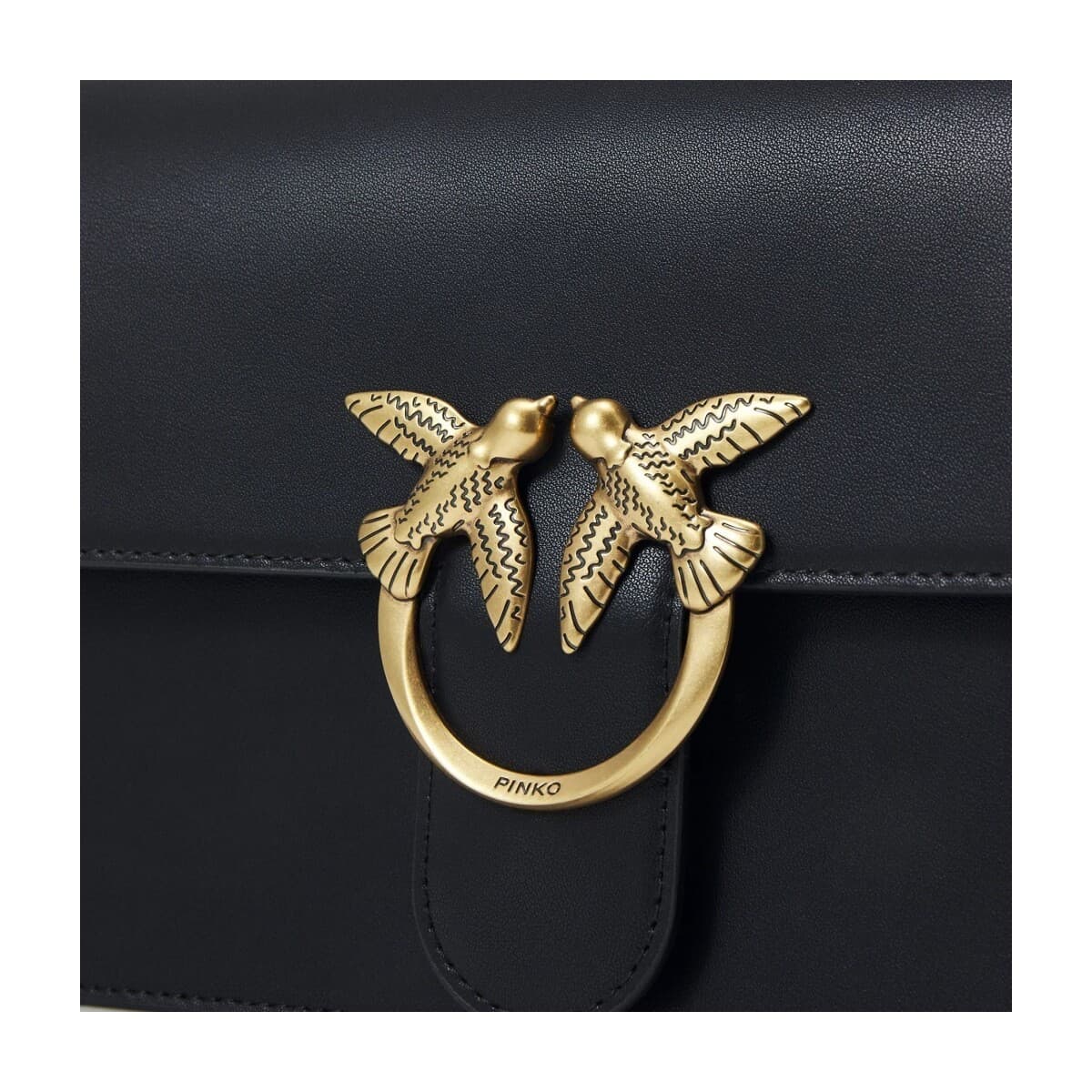 Women's Bags Pinko Black