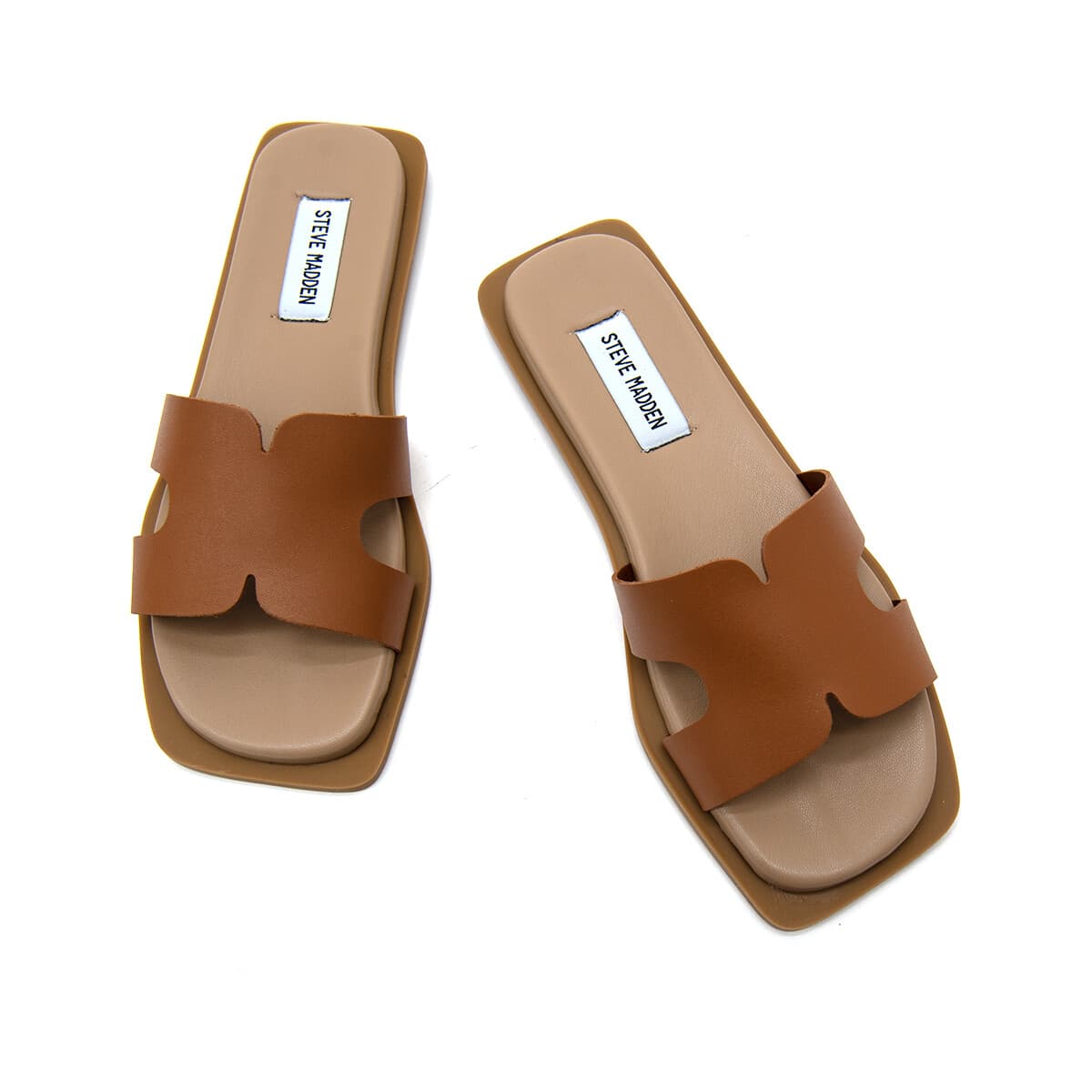 Women's Sandals Steve Madden Multicolor