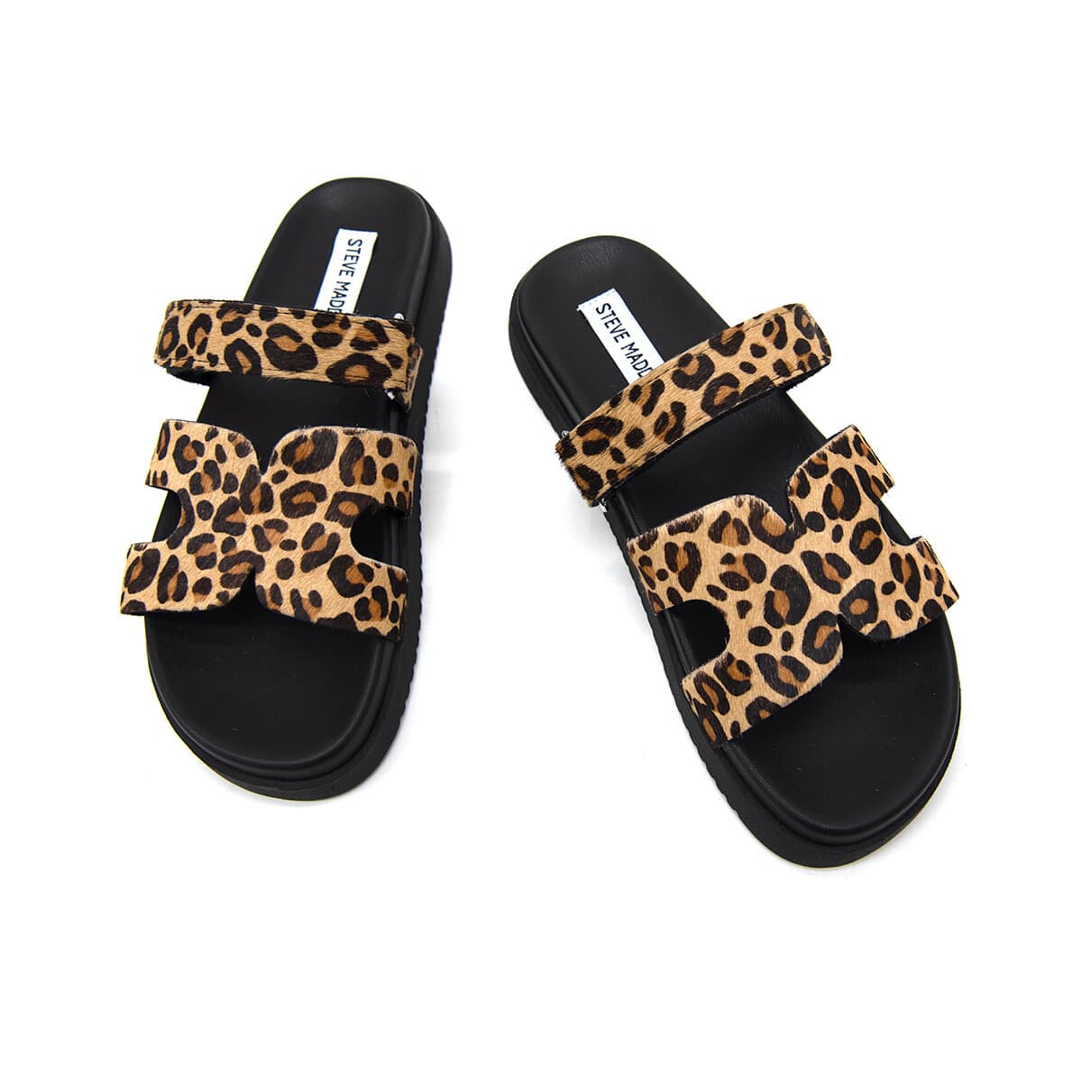 Women's Sandals Steve Madden Multicolor