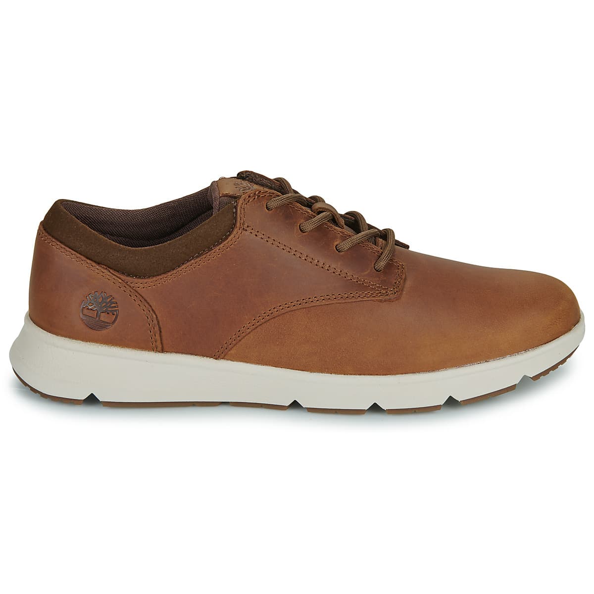Men's Sneakers Timberland Brown