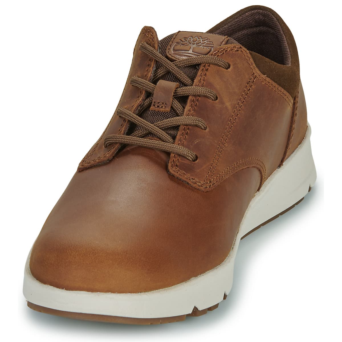 Men's Sneakers Timberland Brown