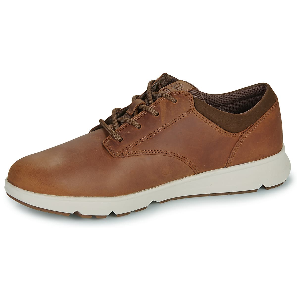 Men's Sneakers Timberland Brown