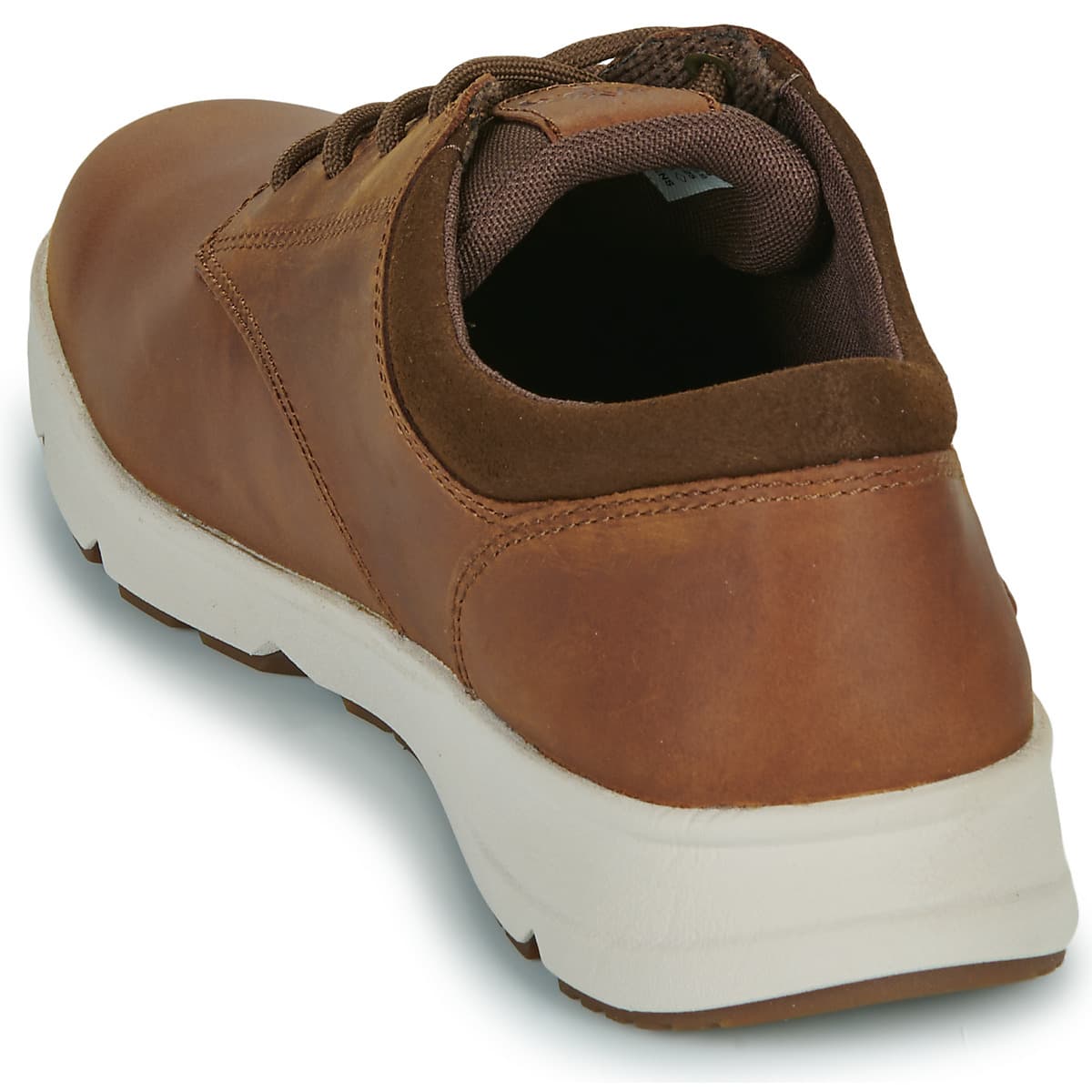 Men's Sneakers Timberland Brown