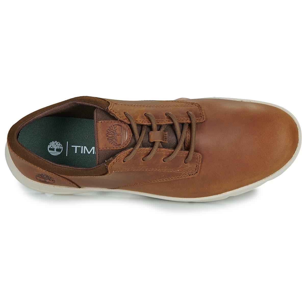 Men's Sneakers Timberland Brown
