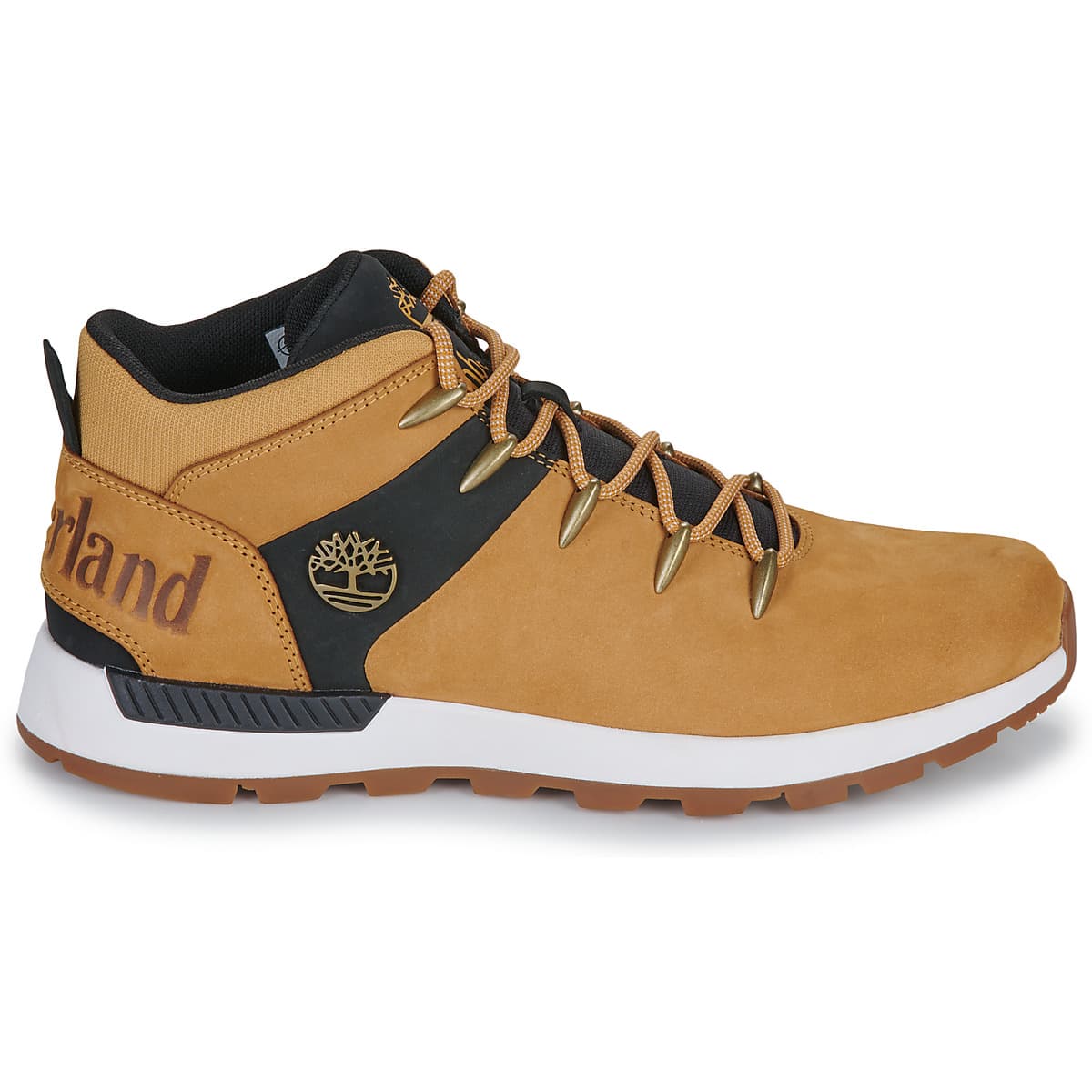 Men's Sneakers Timberland Brown