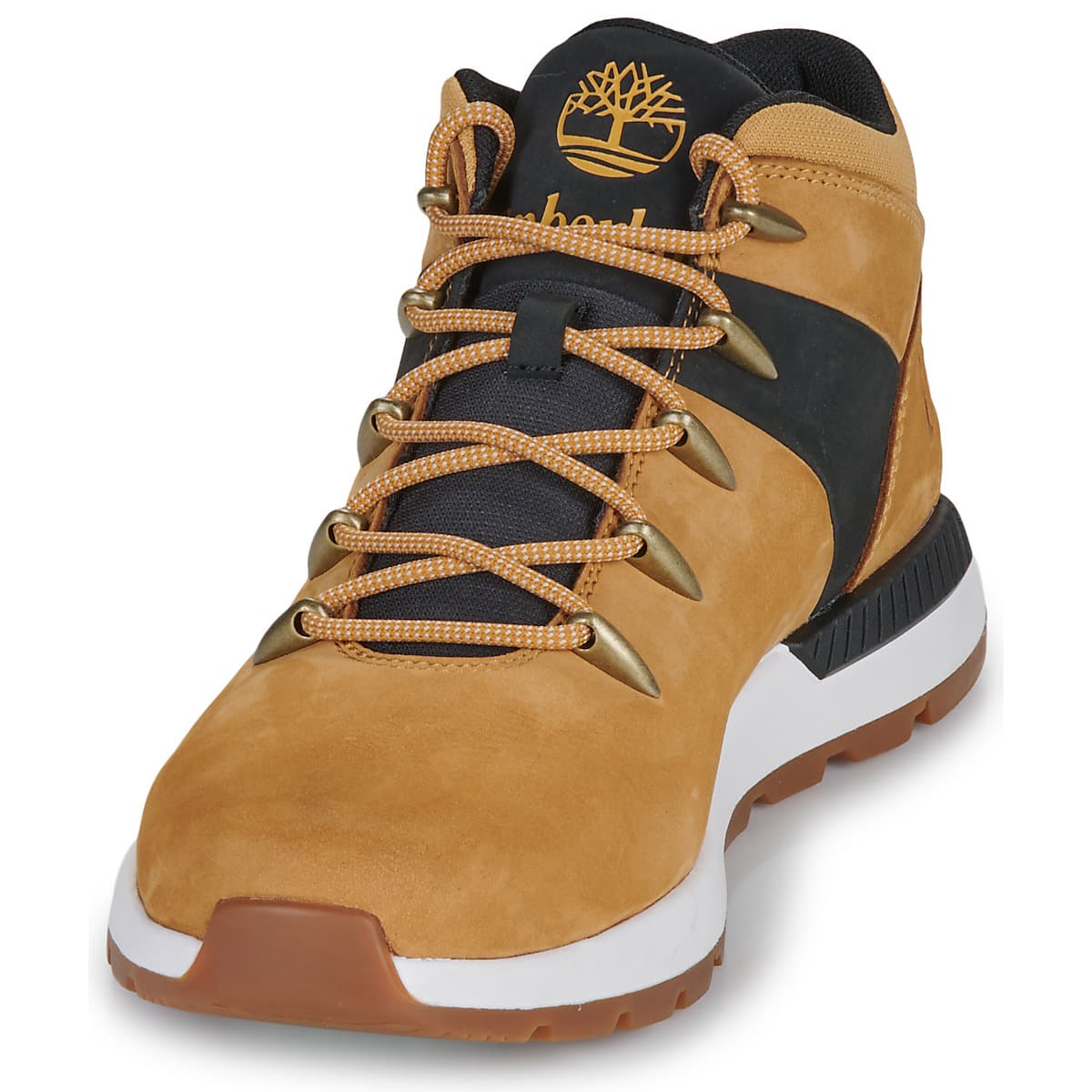 Men's Sneakers Timberland Brown