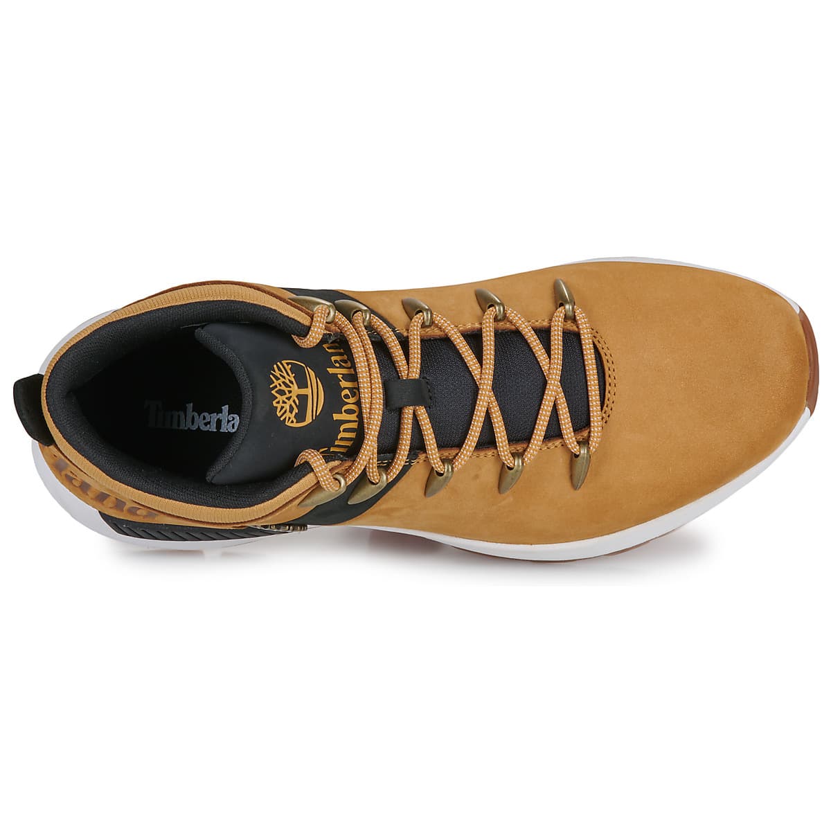 Men's Sneakers Timberland Brown