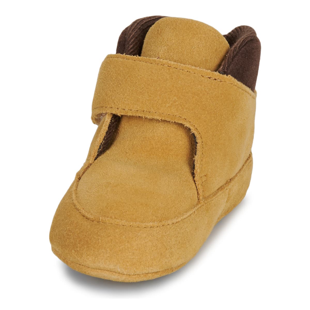 Boys' Sneakers Timberland Brown