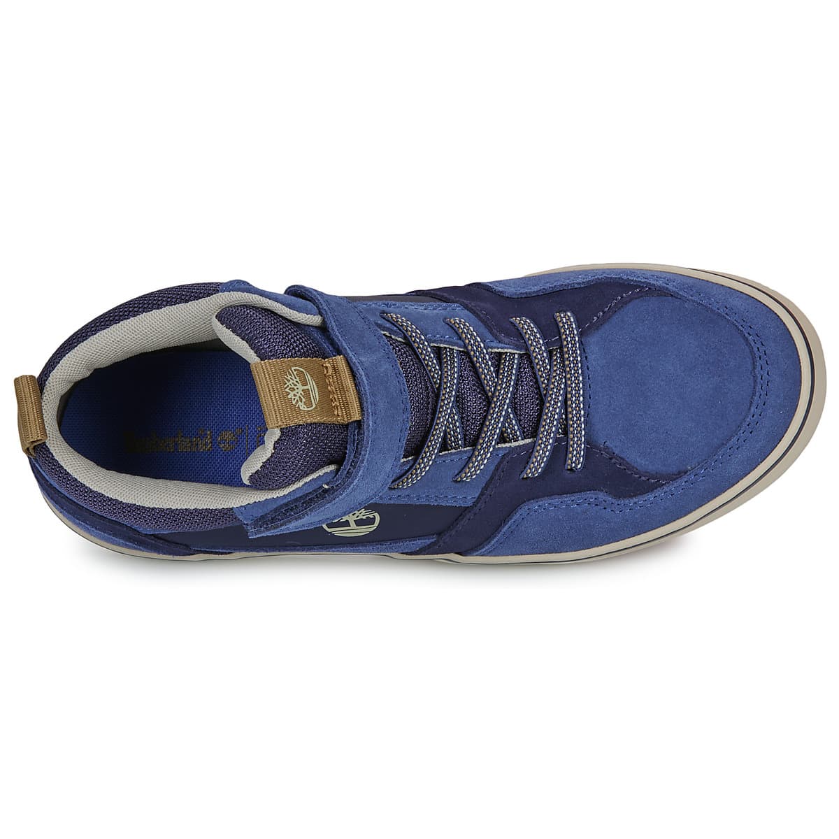Boys' Sneakers Timberland Blue