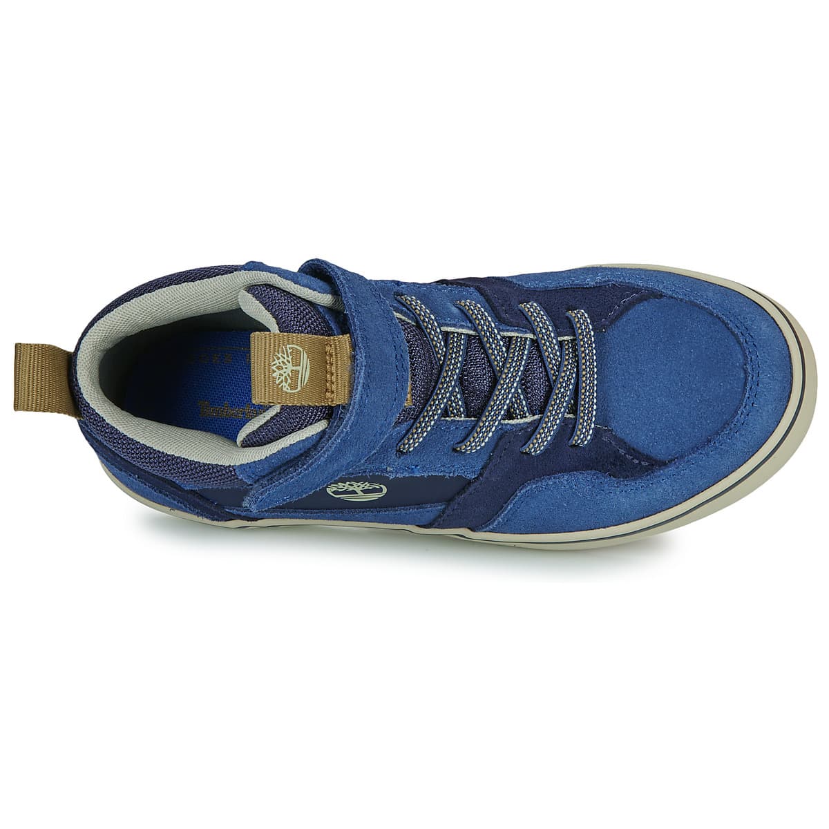 Boys' Sneakers Timberland Blue