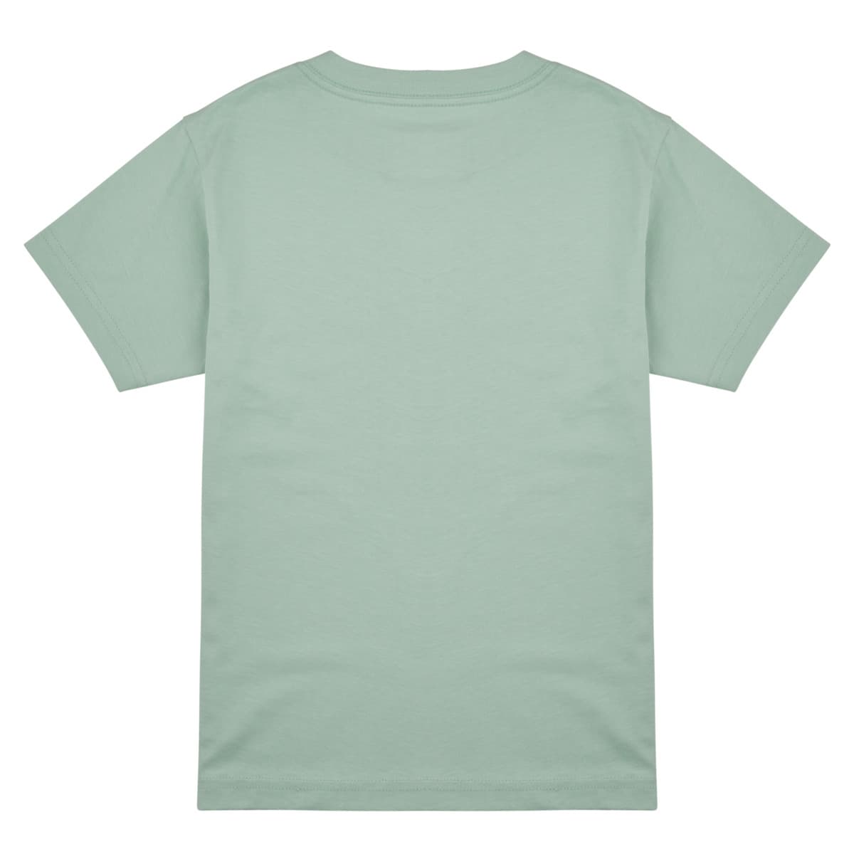 Boys' T-Shirts Vans Gray