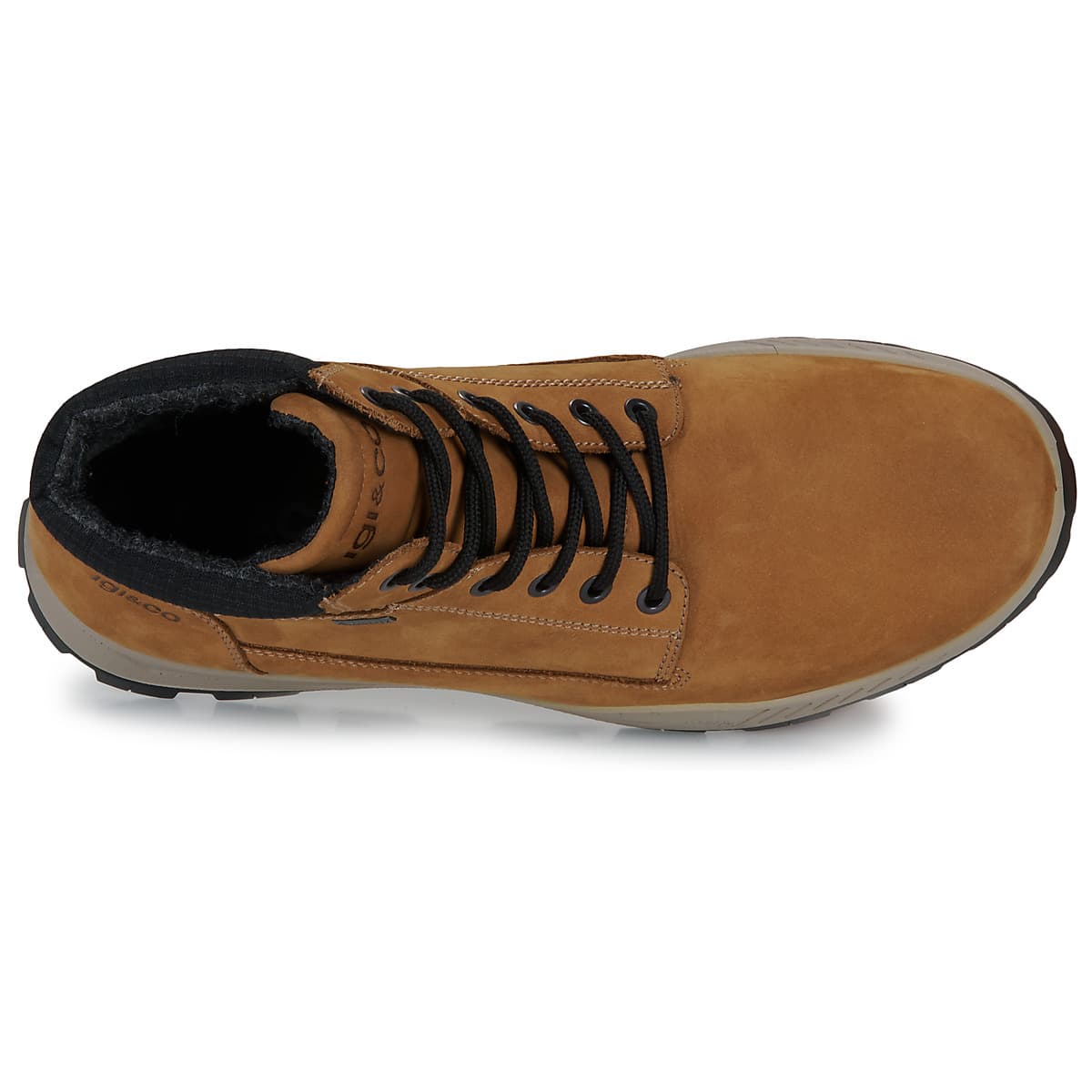 Men's Boots IgI&CO Brown