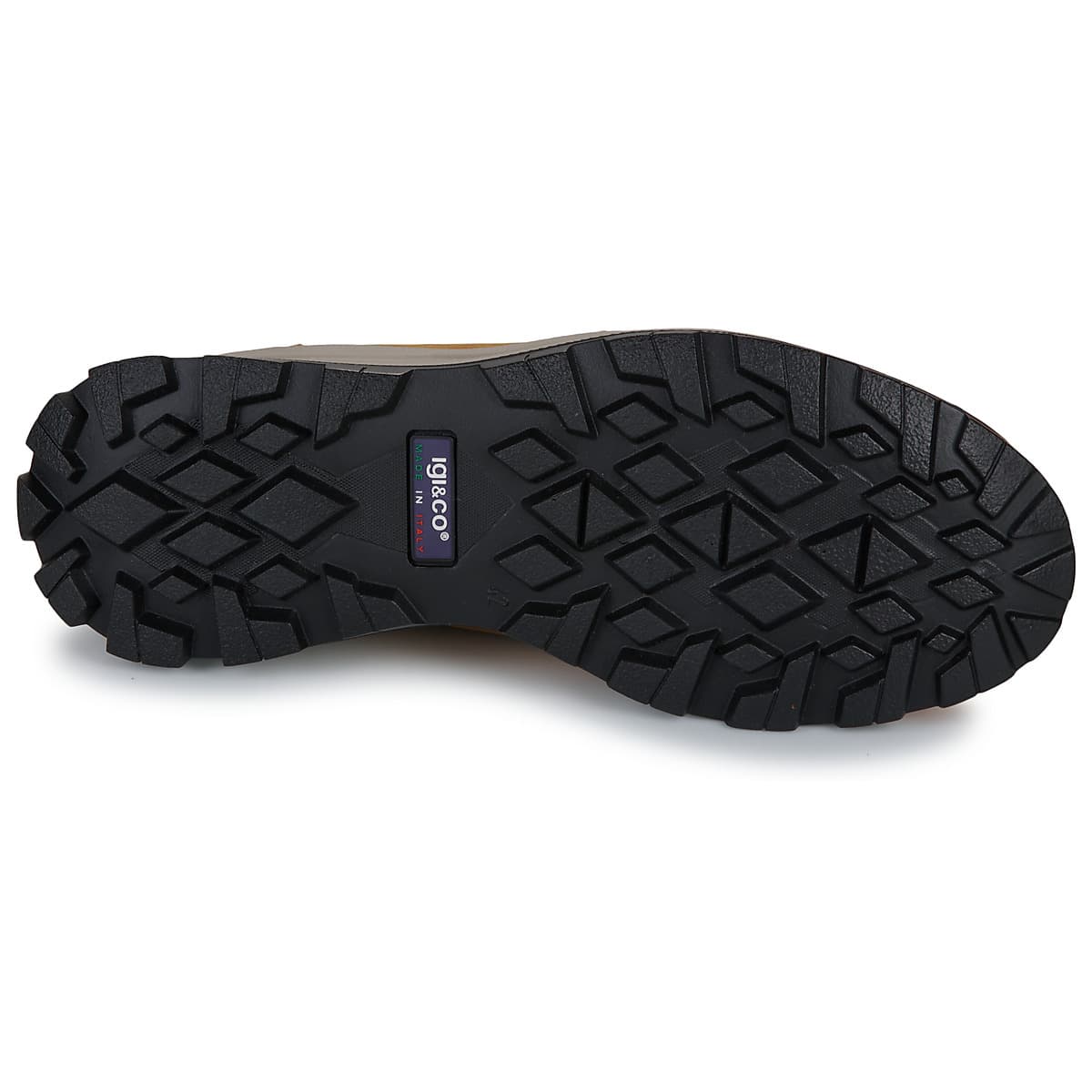 Men's Boots IgI&CO Brown