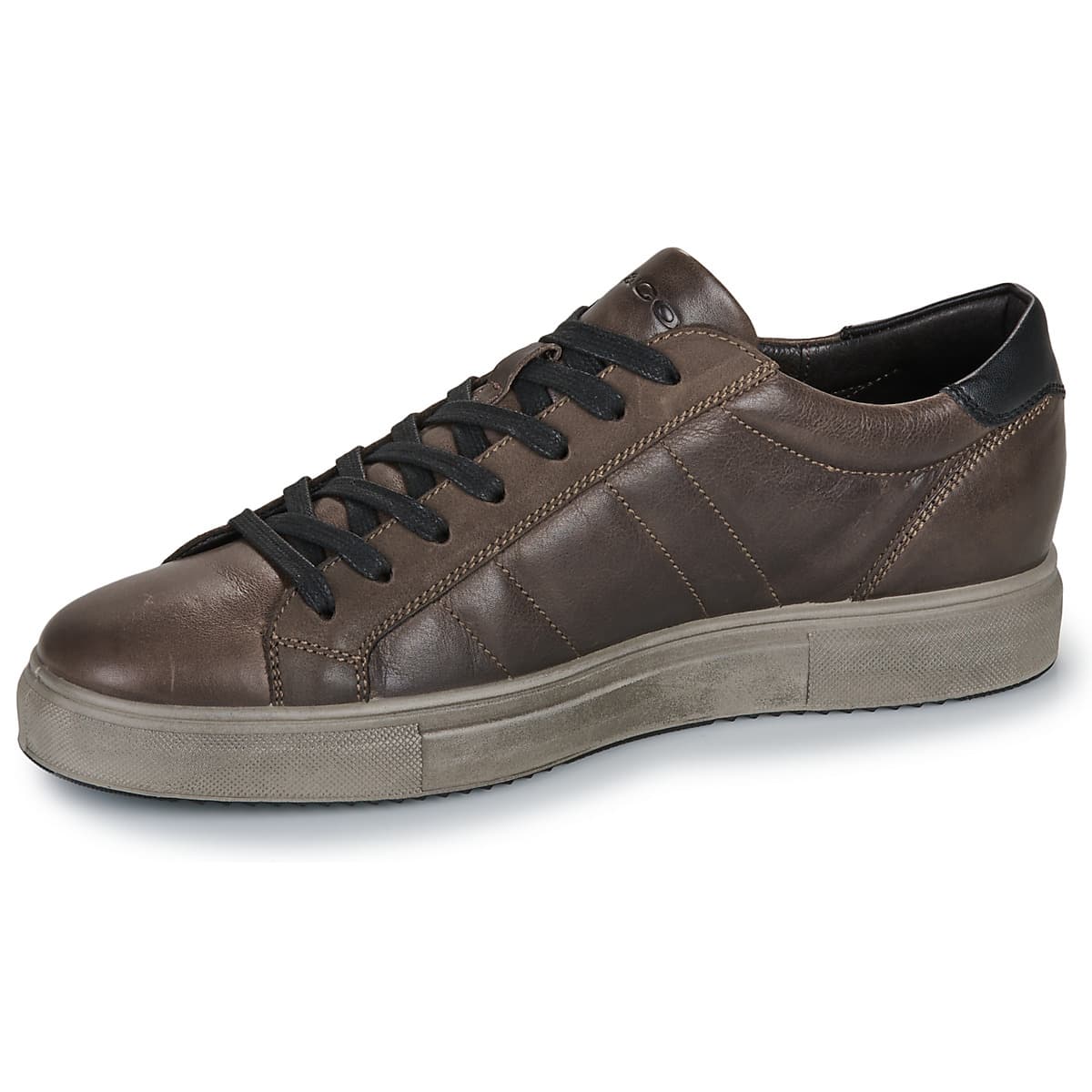 Men's Sneakers IgI&CO Brown