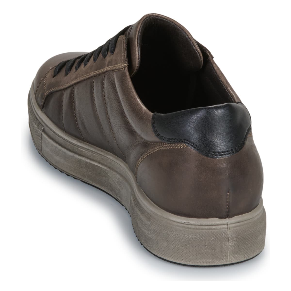 Men's Sneakers IgI&CO Brown