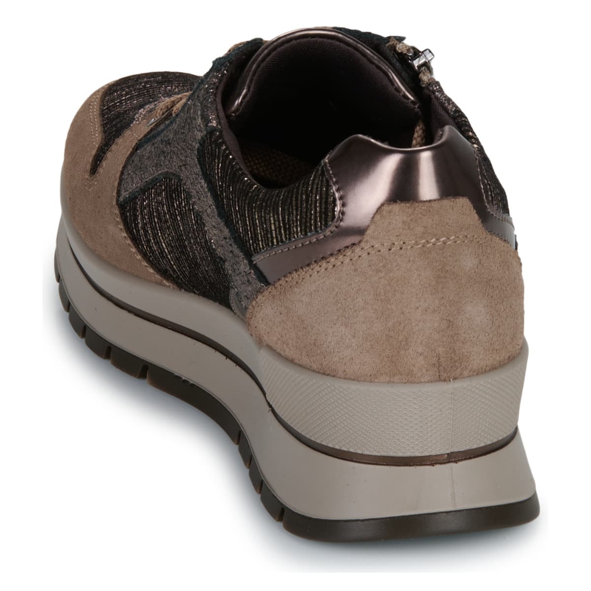 Women's Sneakers IgI&CO Brown