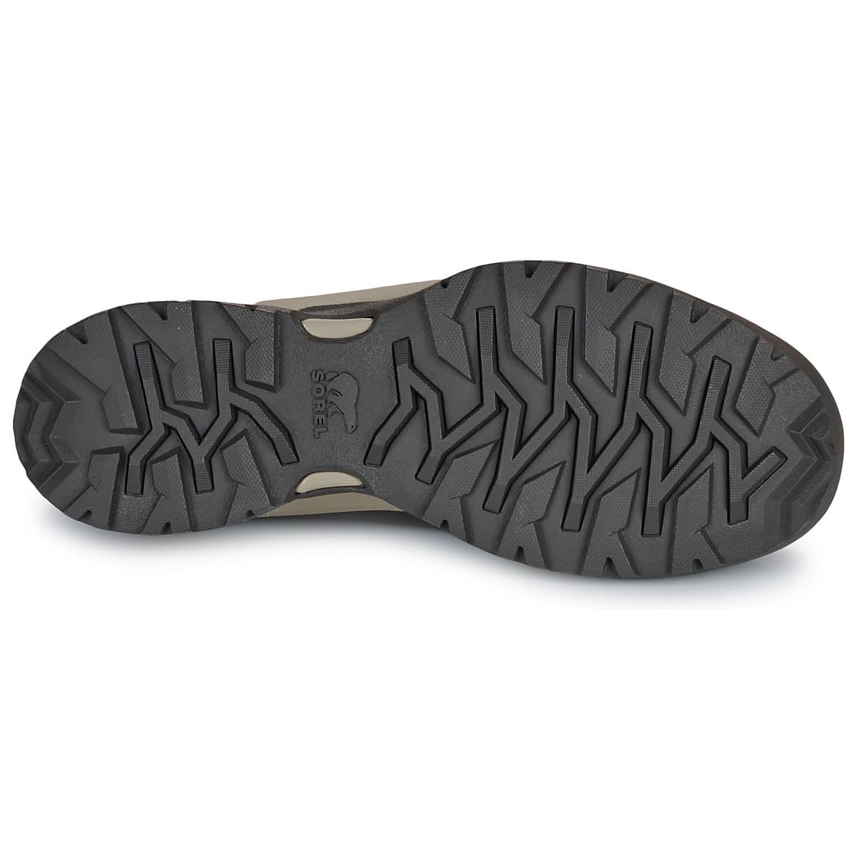 Men's Outdoor Shoes Sorel Brown