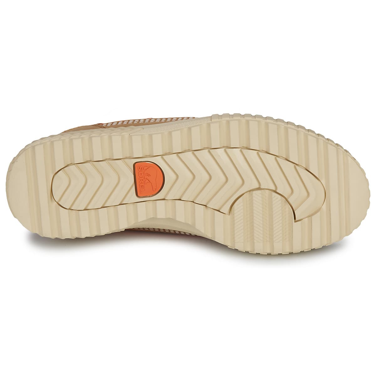 Women's Sneakers Sorel Brown