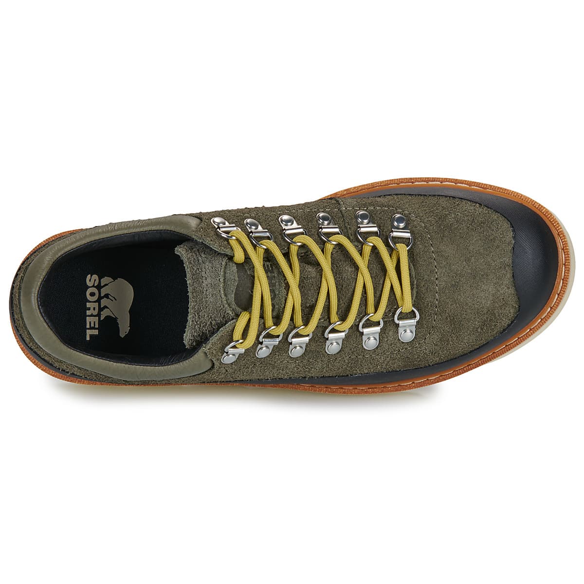 Men's Sneakers Sorel Brown
