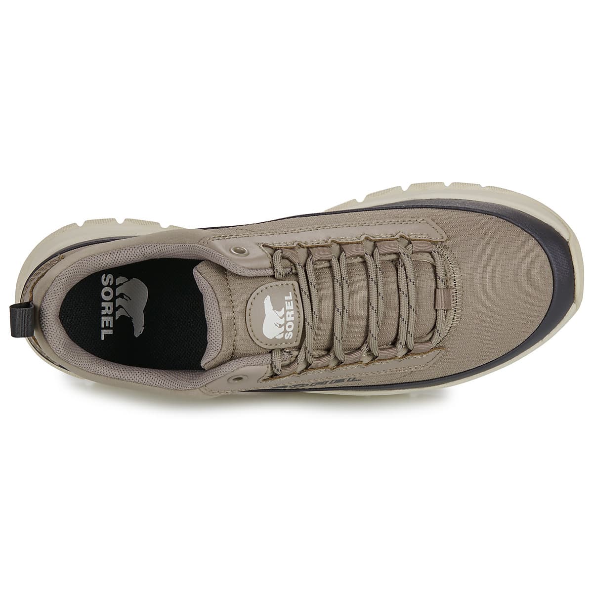 Men's Sneakers Sorel Beige