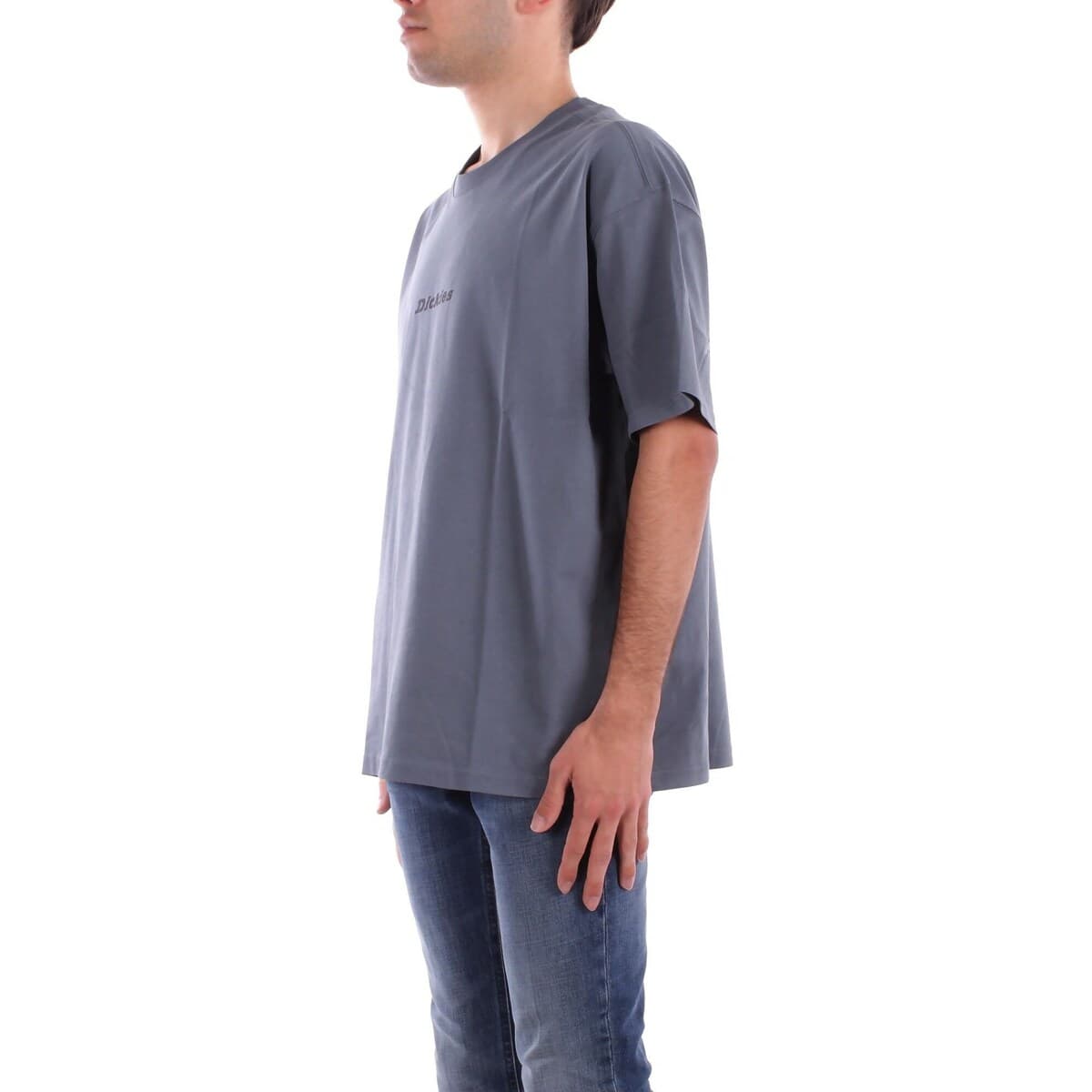 Men's T-Shirts Dickies Gray