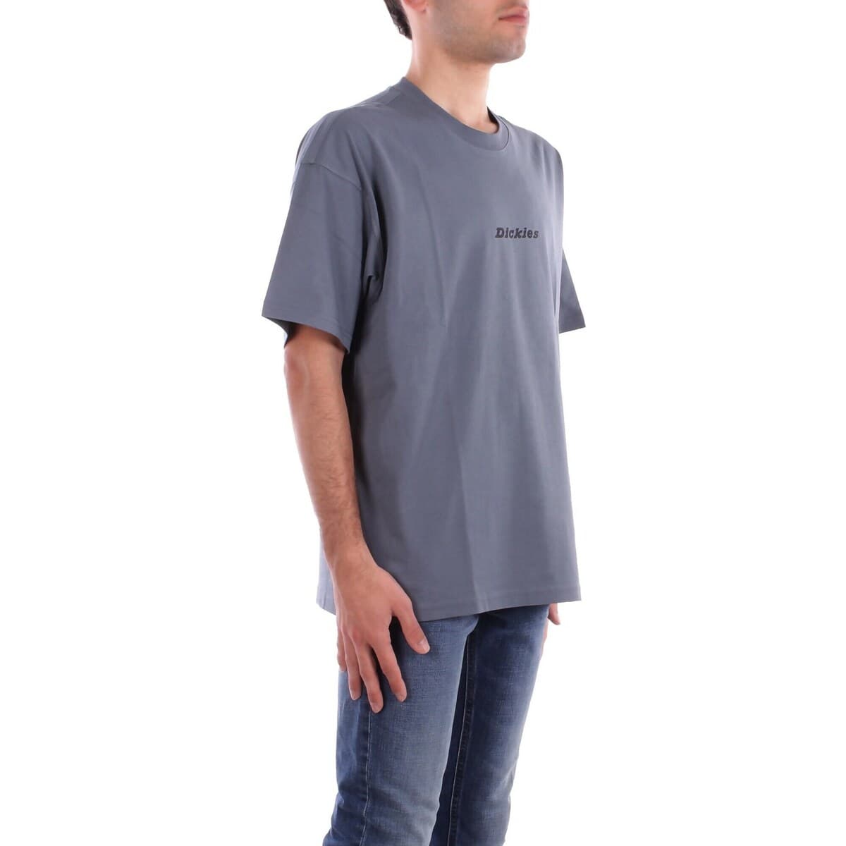 Men's T-Shirts Dickies Gray
