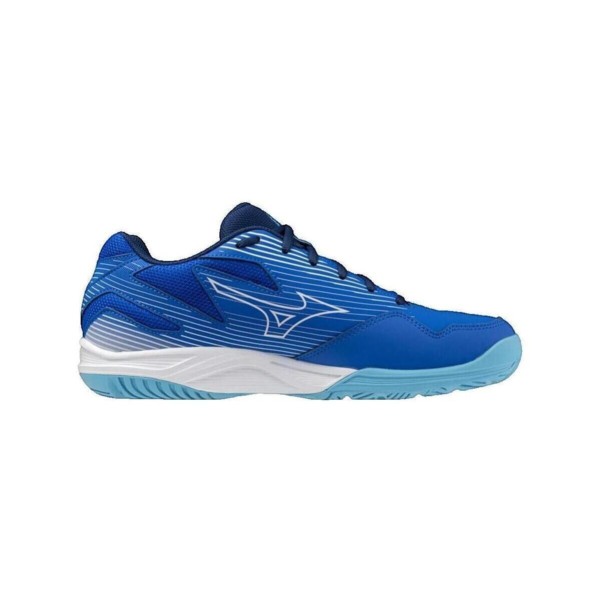 Men's Sports Shoes Mizuno