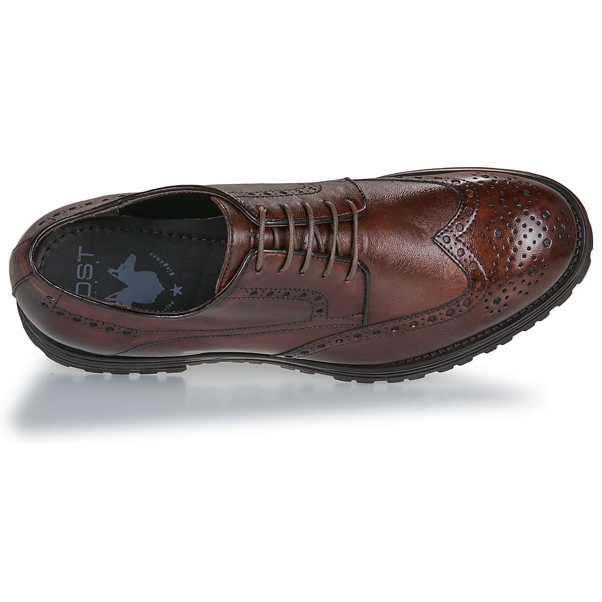 Men's Derby Shoes KOST Brown