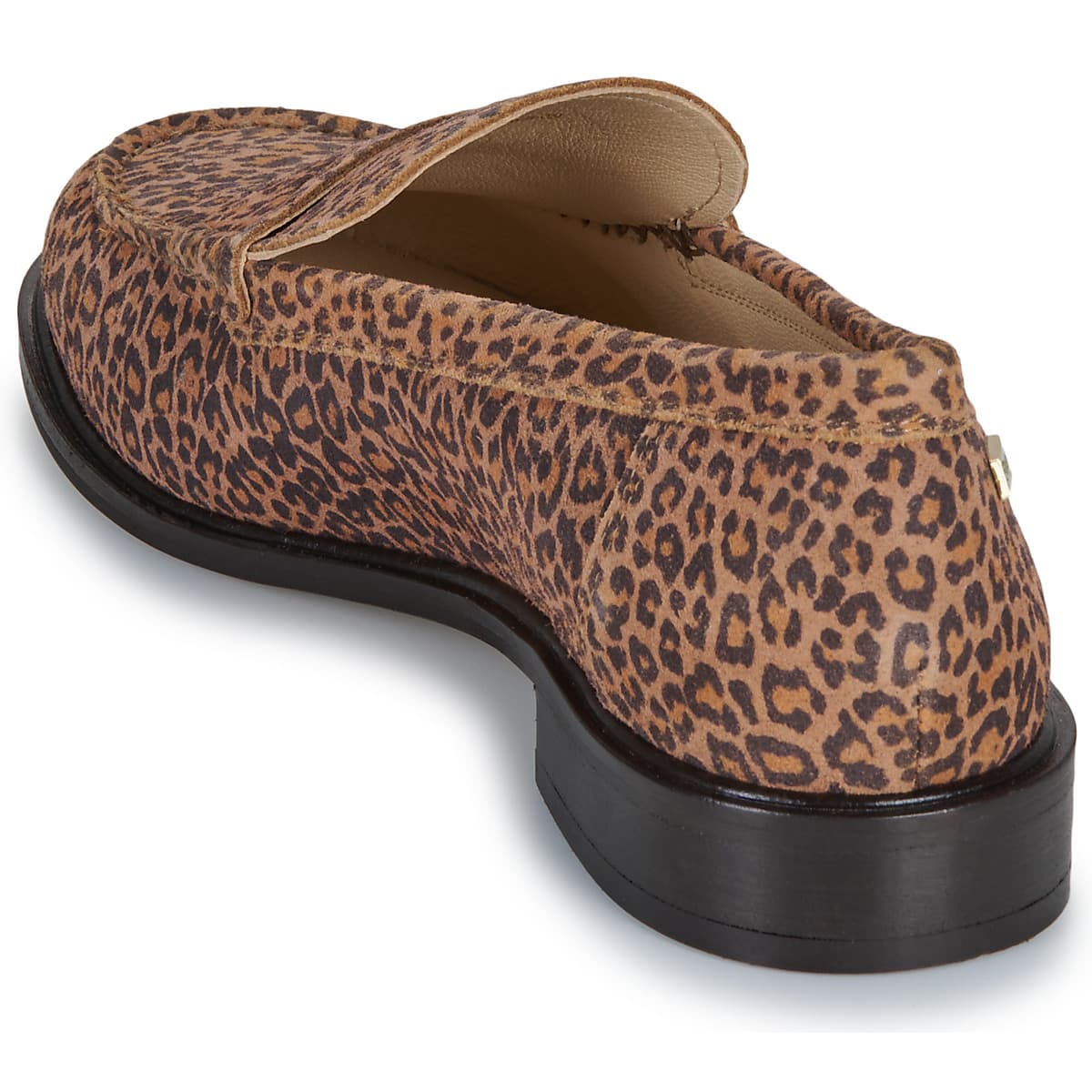 Women's Loafers Les Tropeziennes par M.Belarbi Brown