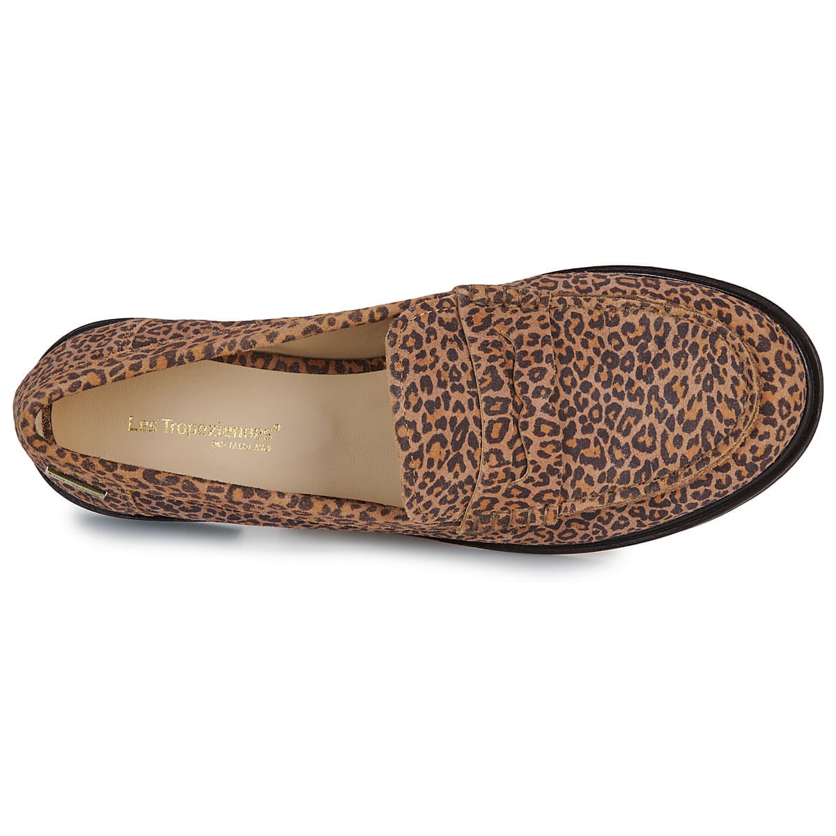 Women's Loafers Les Tropeziennes par M.Belarbi Brown