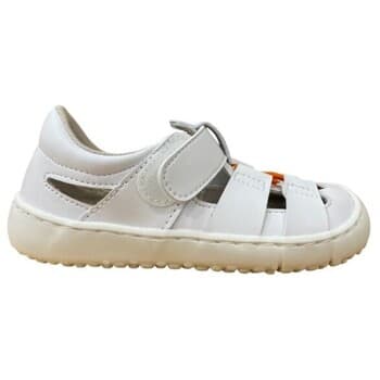 Boys' Sandals Coqueflex White