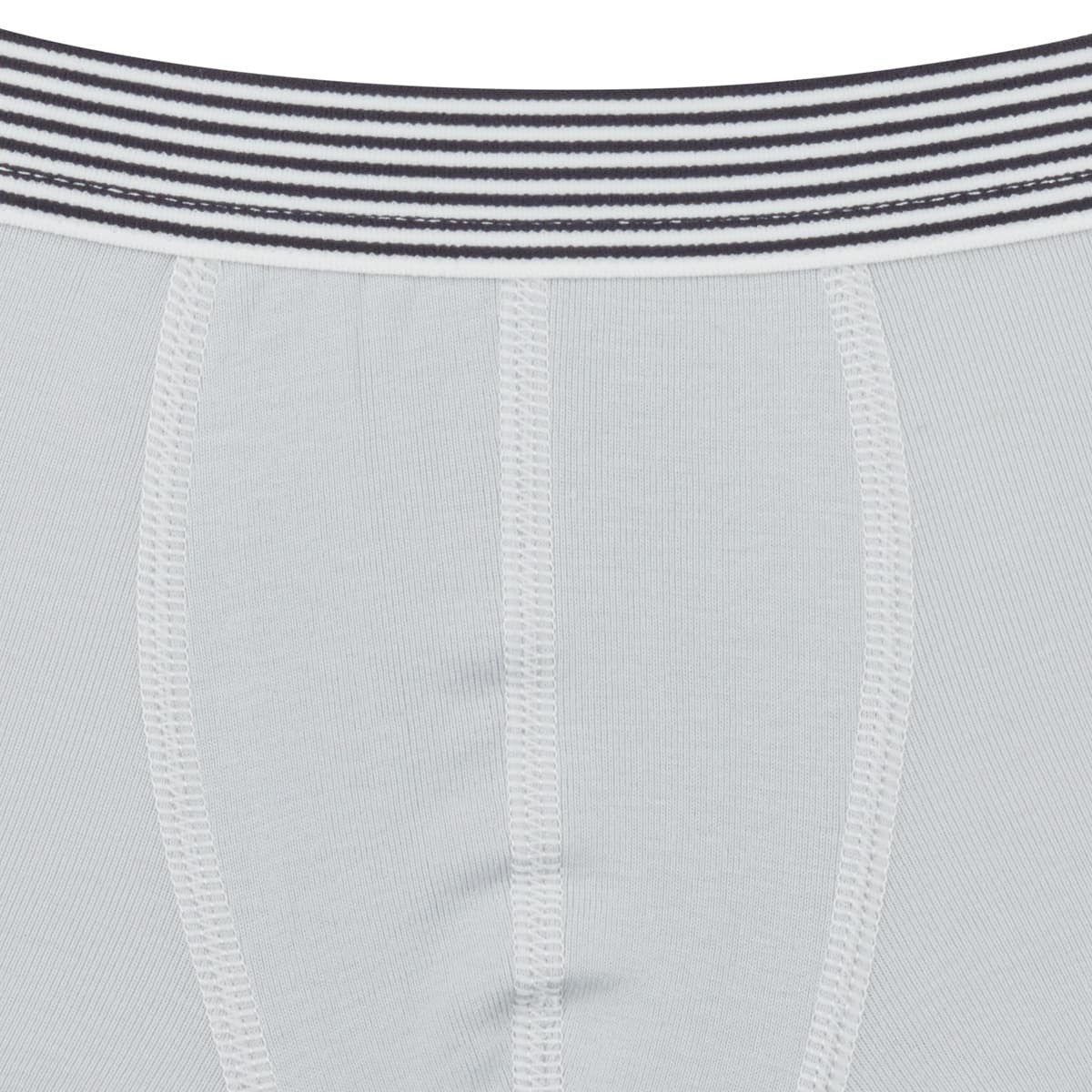 Men's Boxer Briefs Petit Bateau Multicolor